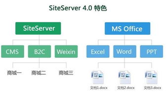 未來互聯網產品 siteserver4.0隆重上市